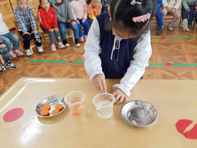 通过科学实验孩子们懂得了没插吸管的胡萝因为胡萝卜比水重,自然境亮