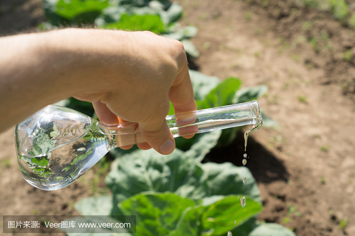 手拿一个试管和植物。肥料在实验室