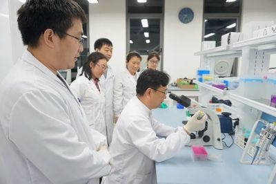 我校新获批国家自然科学基金区域创新发展联合基金重点项目