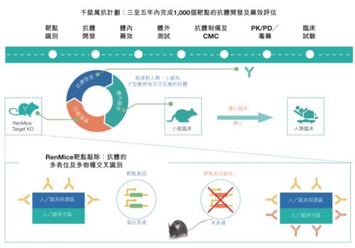 ipo观察 百奥赛图冲刺港股,以 外行 的方式做药有多香